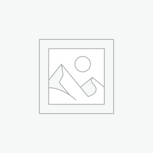 尊享学生关怀支持 Premium Student Care Support